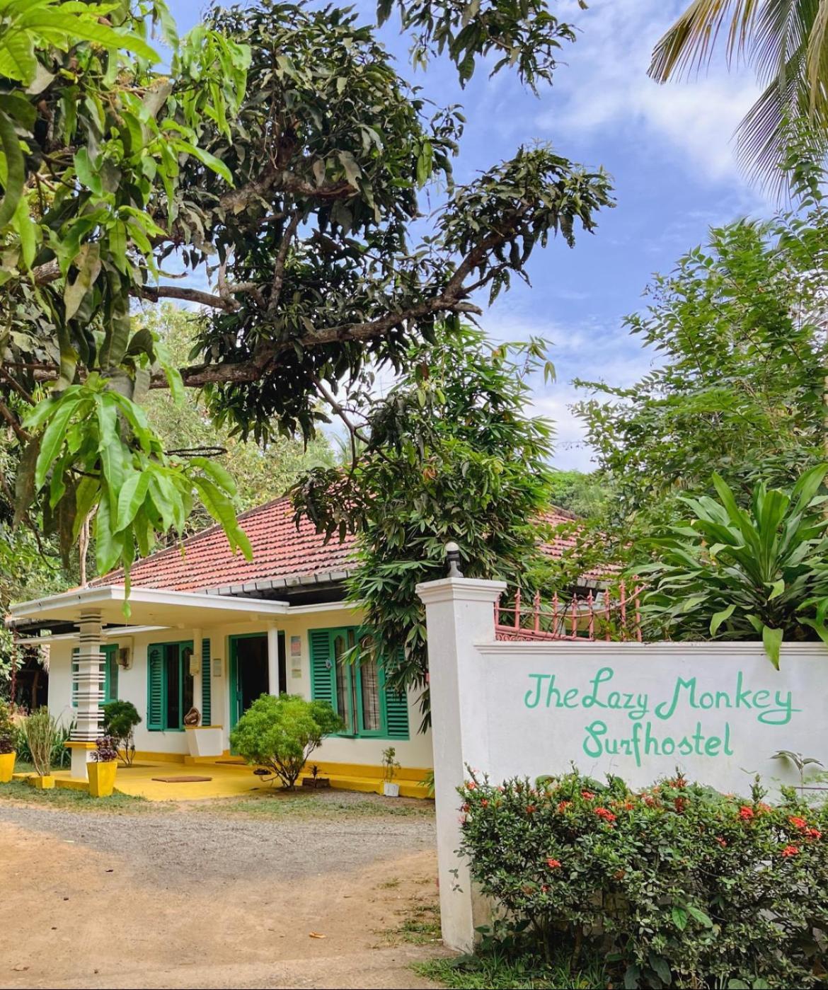 Lazy Monkey Surfhostel - Sri Lanka ديكويلاّ تين المظهر الخارجي الصورة