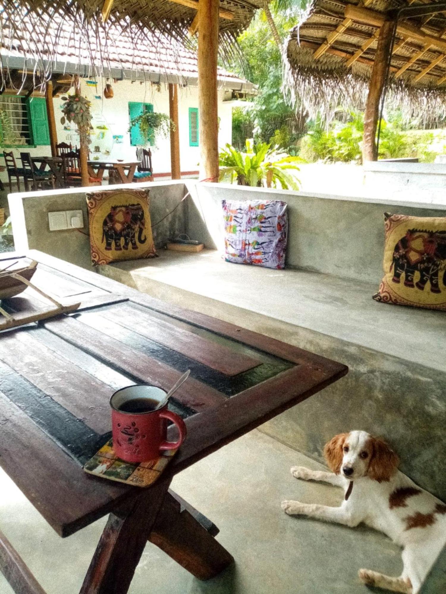 Lazy Monkey Surfhostel - Sri Lanka ديكويلاّ تين المظهر الخارجي الصورة
