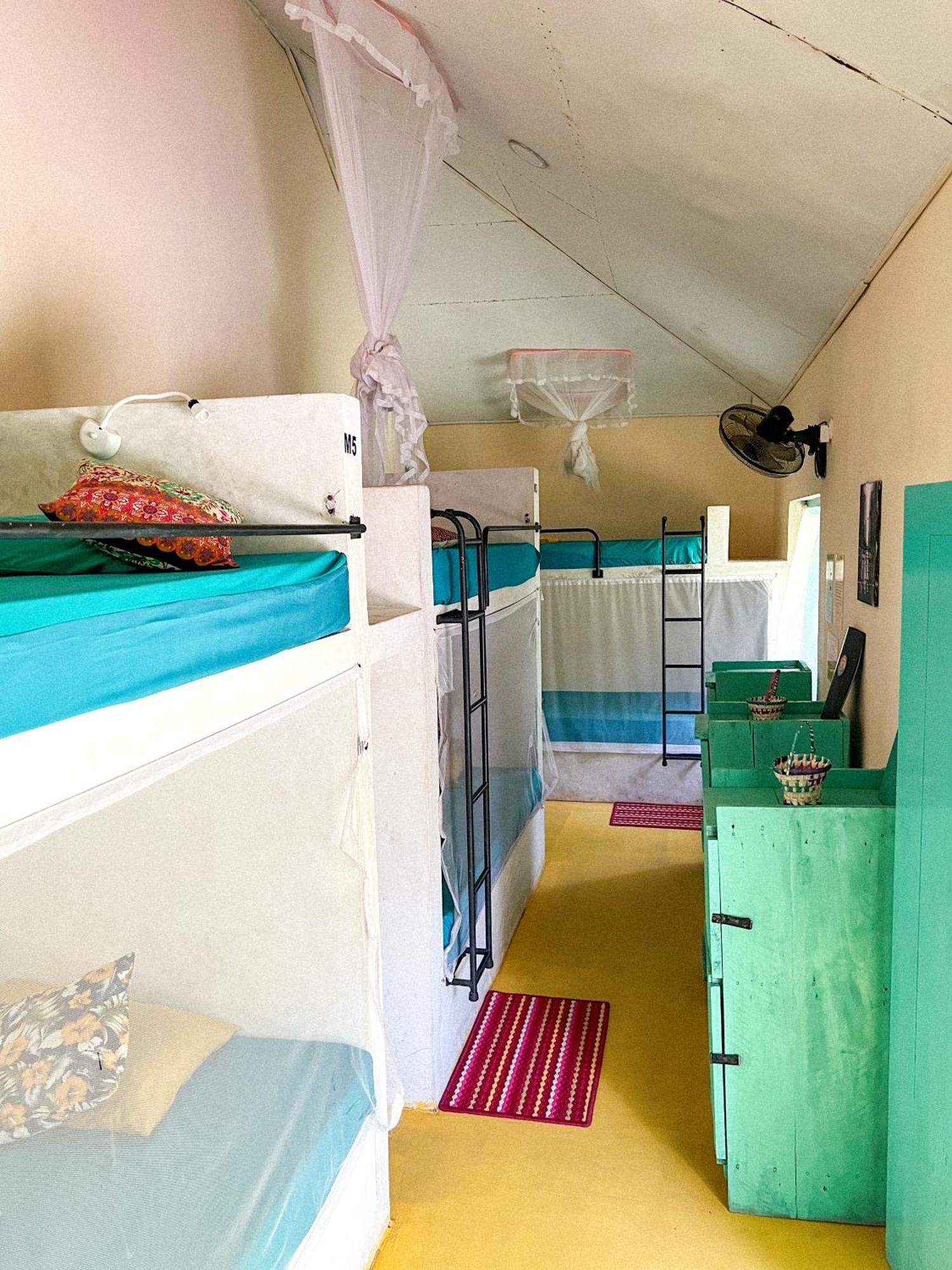 Lazy Monkey Surfhostel - Sri Lanka ديكويلاّ تين المظهر الخارجي الصورة