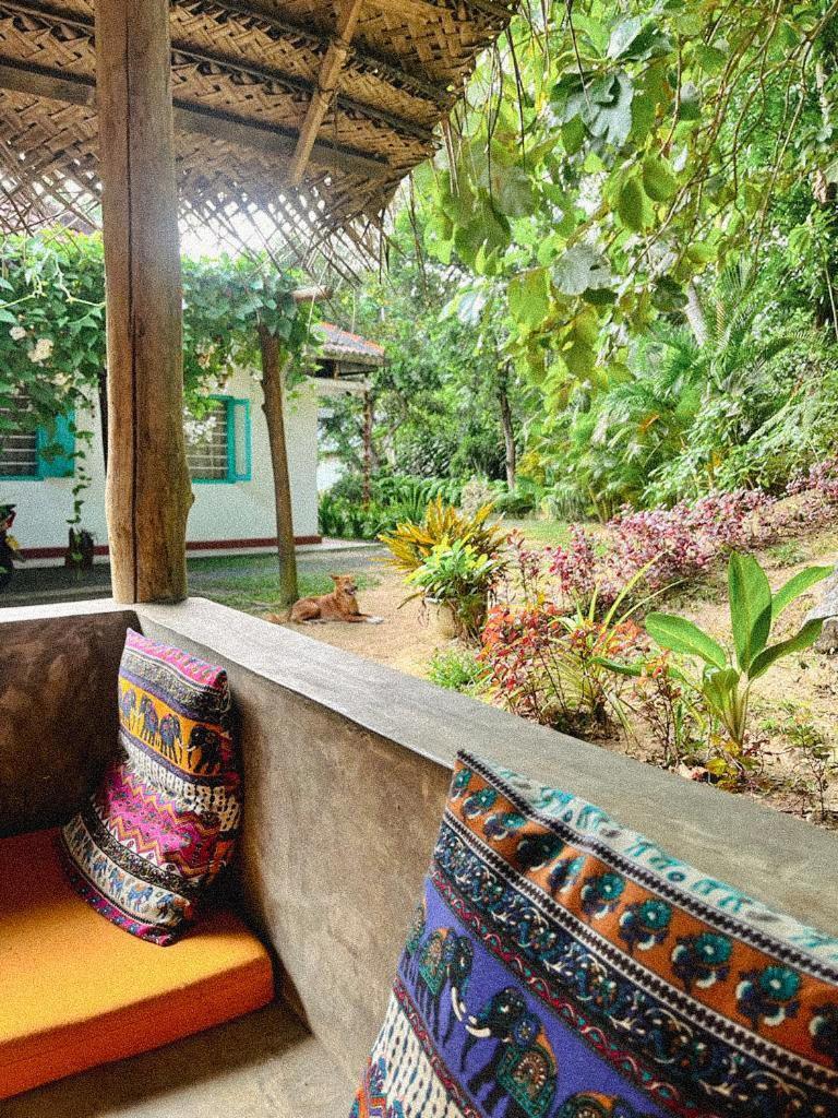 Lazy Monkey Surfhostel - Sri Lanka ديكويلاّ تين المظهر الخارجي الصورة
