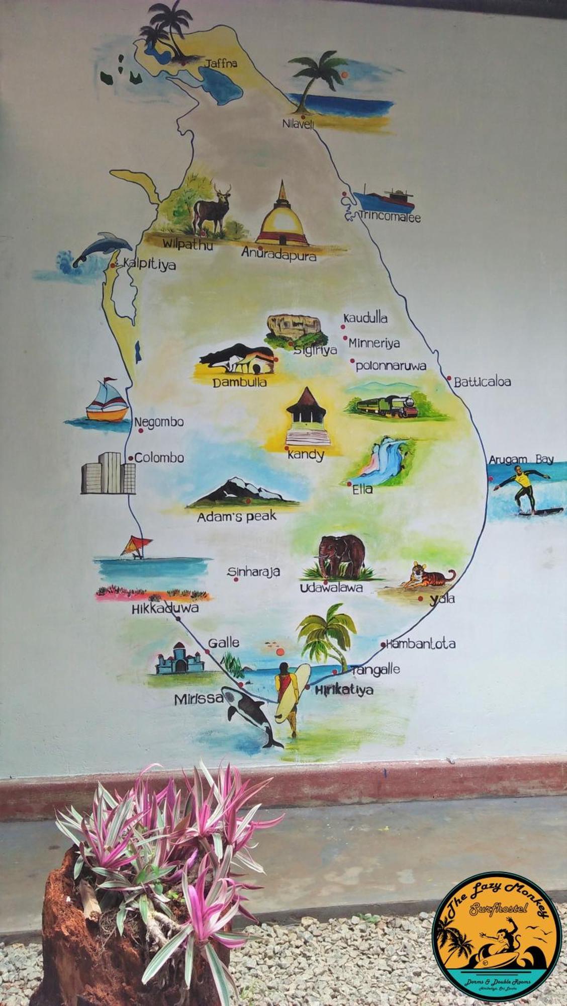Lazy Monkey Surfhostel - Sri Lanka ديكويلاّ تين المظهر الخارجي الصورة