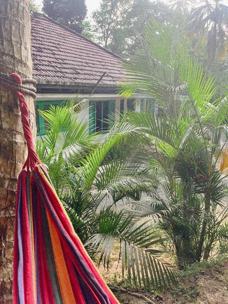 Lazy Monkey Surfhostel - Sri Lanka ديكويلاّ تين المظهر الخارجي الصورة