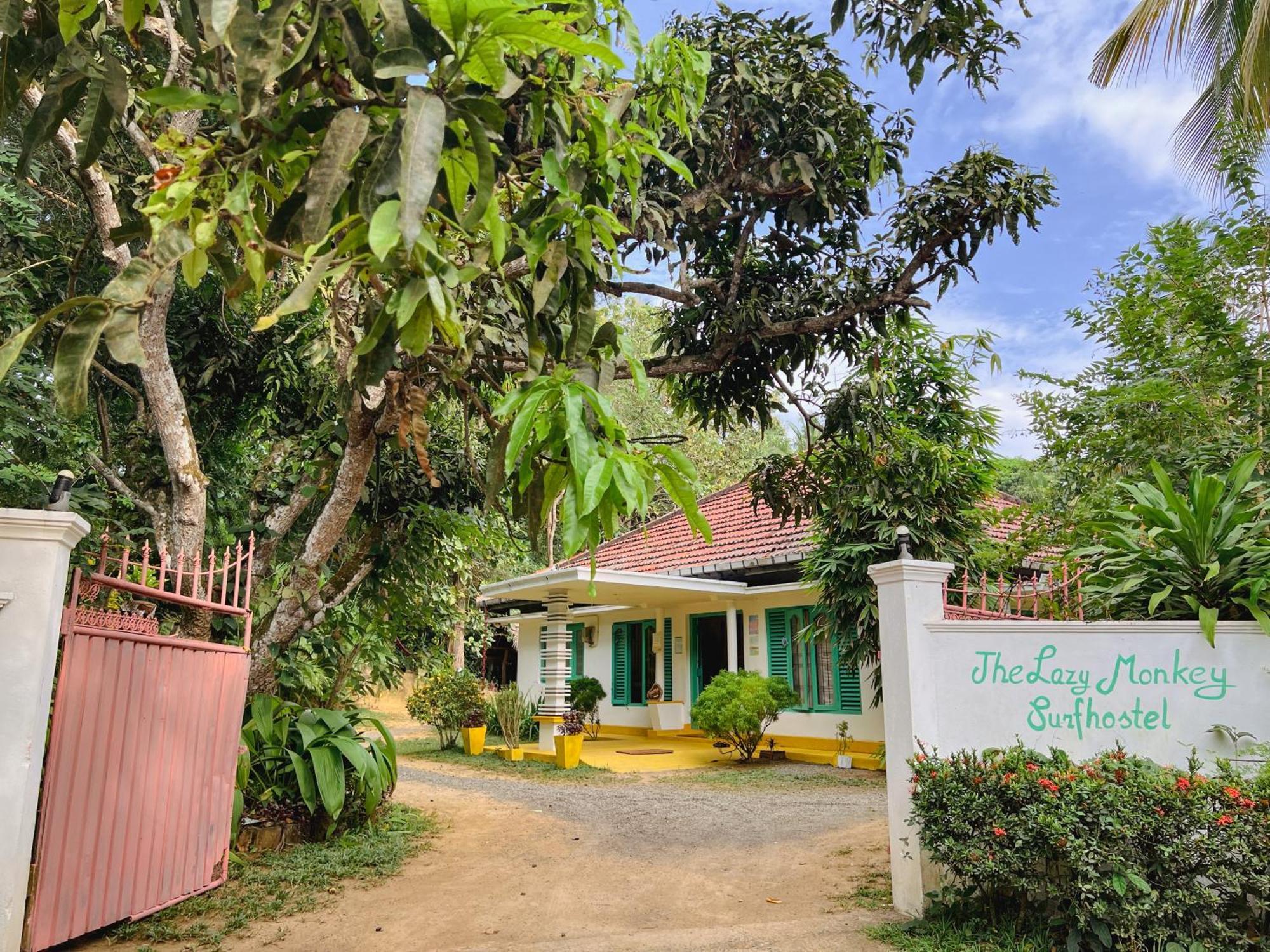 Lazy Monkey Surfhostel - Sri Lanka ديكويلاّ تين المظهر الخارجي الصورة