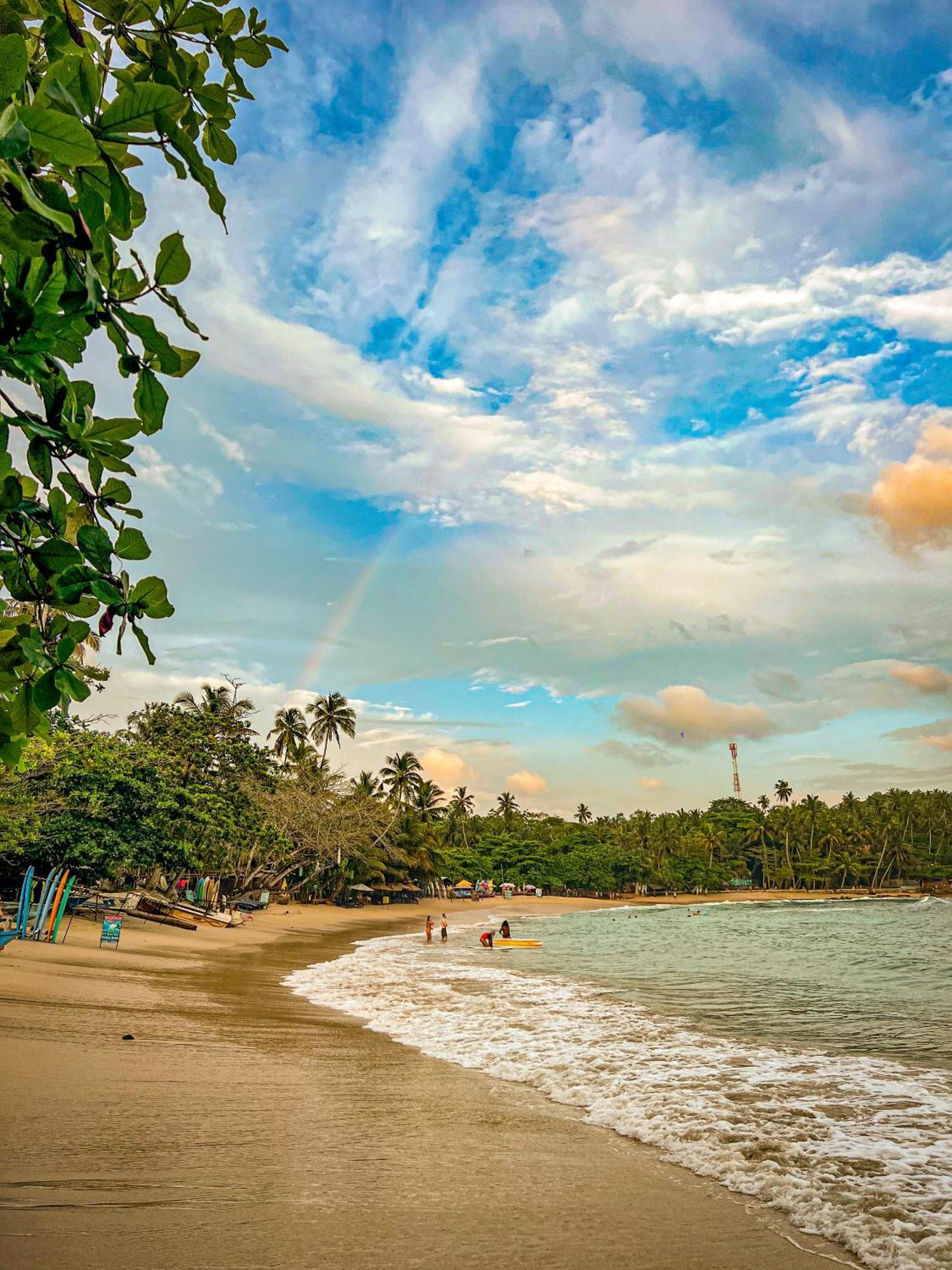 Lazy Monkey Surfhostel - Sri Lanka ديكويلاّ تين المظهر الخارجي الصورة
